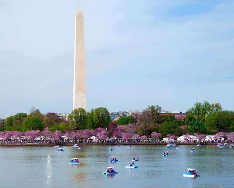 5 Summer Activities To Get Active In Washington Dc Set Physical Therapy 6779